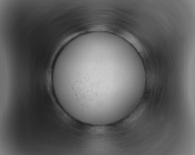 X0000093161000200710031442
