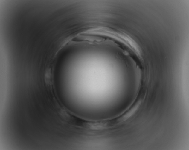 X0000093161001200710031442
