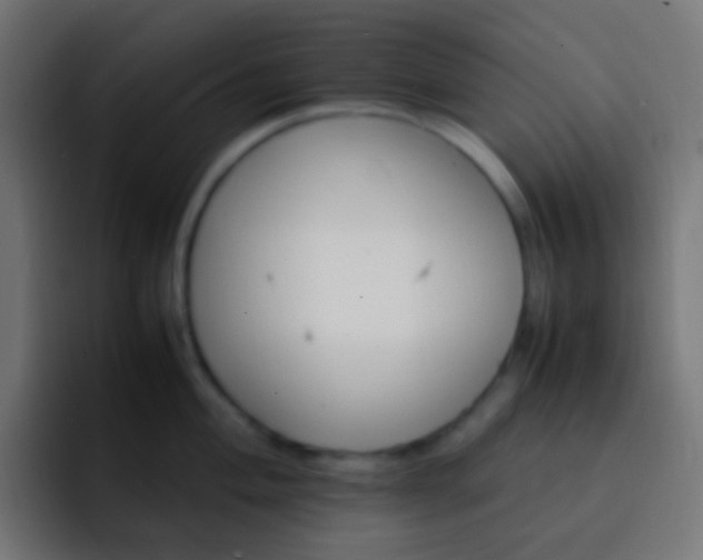 X0000093161004200710031442