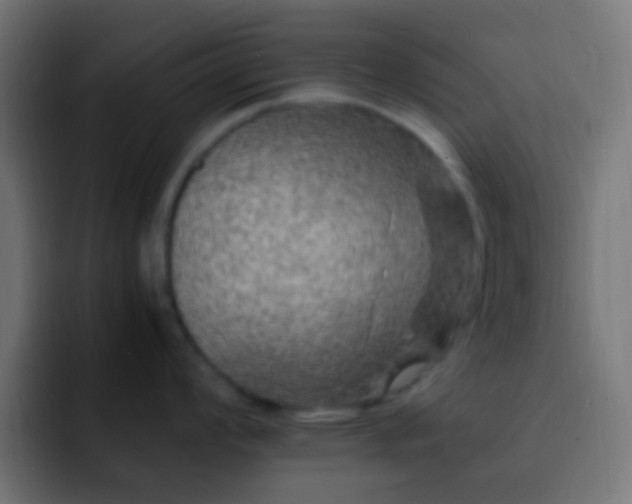 X0000093161008200710031442
