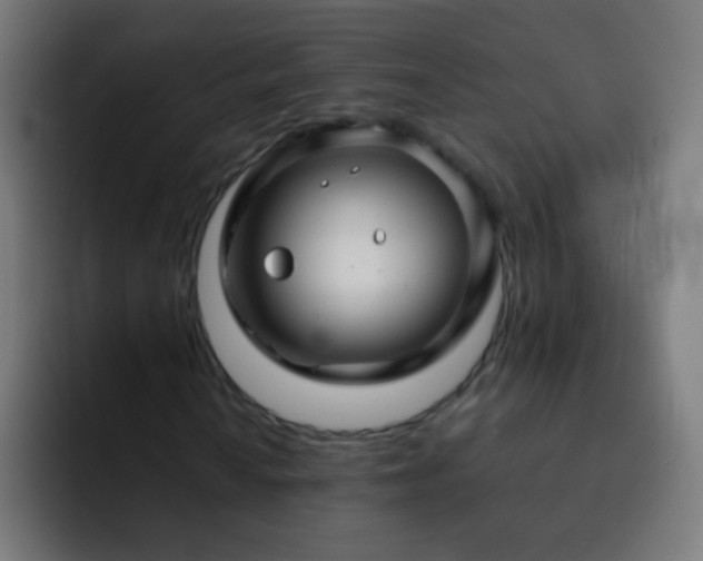 X0000093161010200710031442