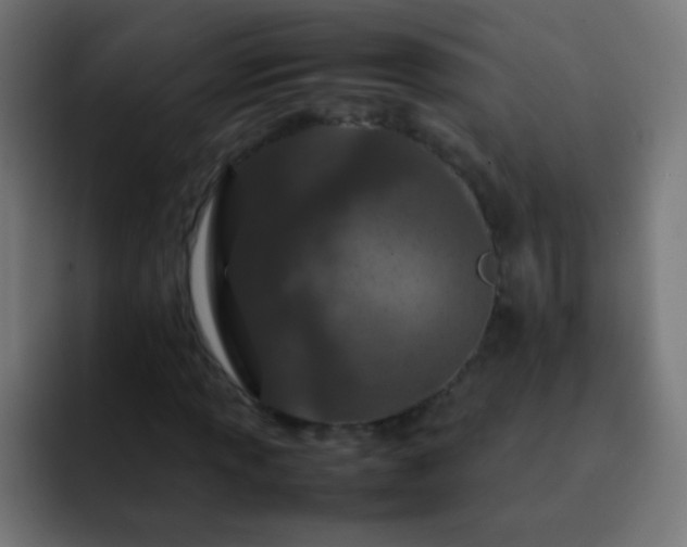 X0000093161013200710031442