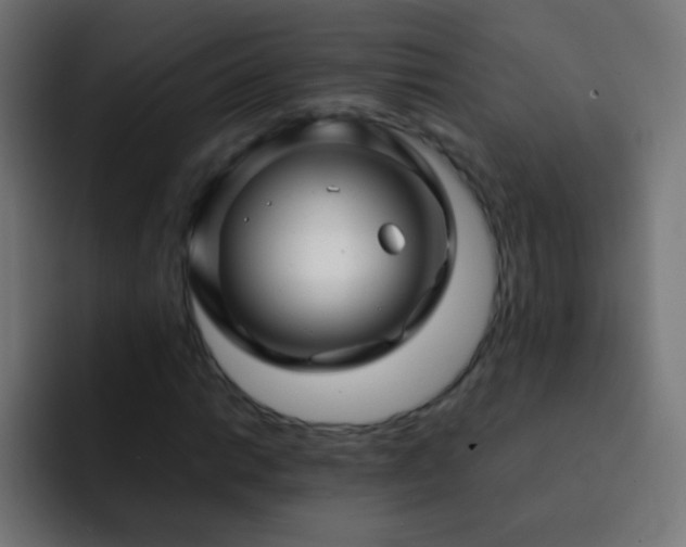 X0000093161014200710031442