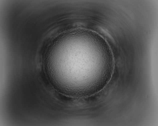 X0000093161015200710031442