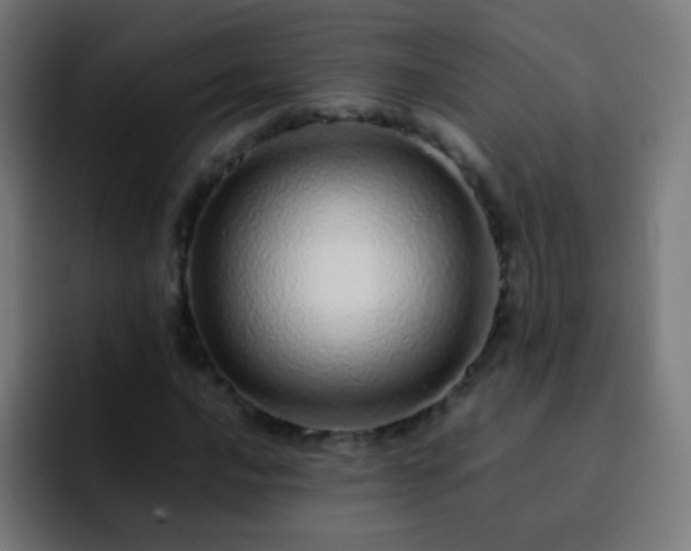 X0000093161016200710031442