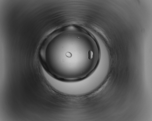 X0000093161018200710031442