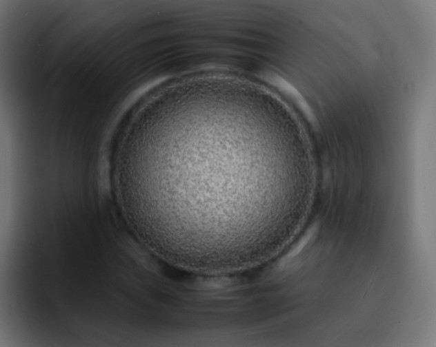 X0000093161019200710031442