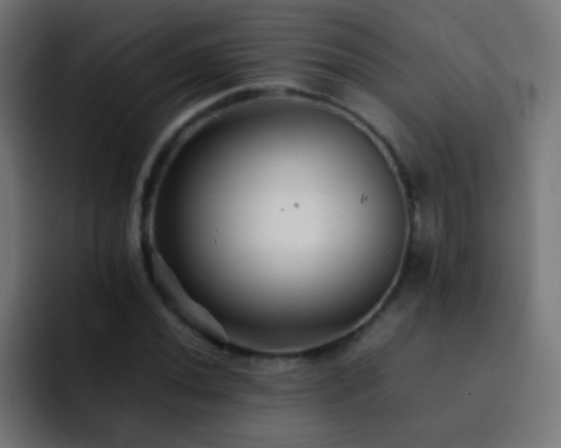 X0000093161020200710031442