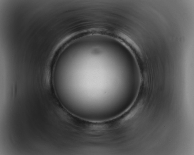 X0000093161021200710031442