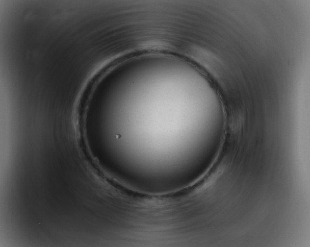 X0000093161022200710031442