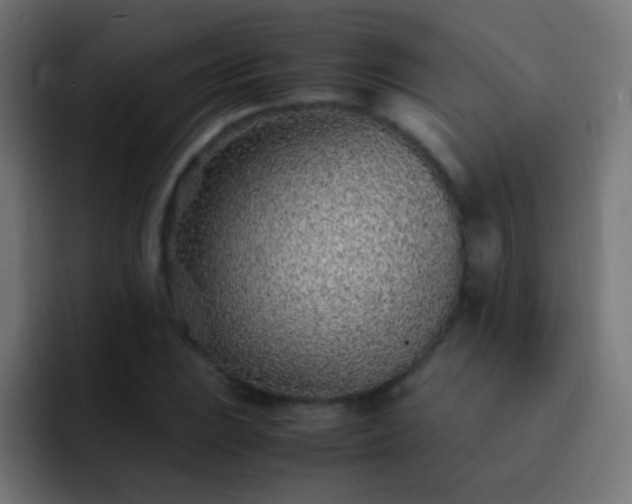 X0000093161023200710031442