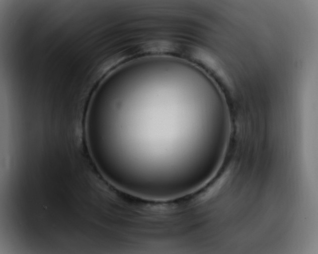 X0000093161025200710031442