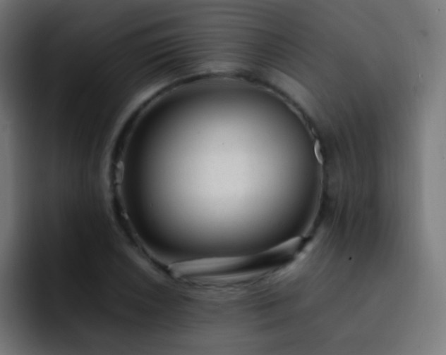 X0000093161026200710031442