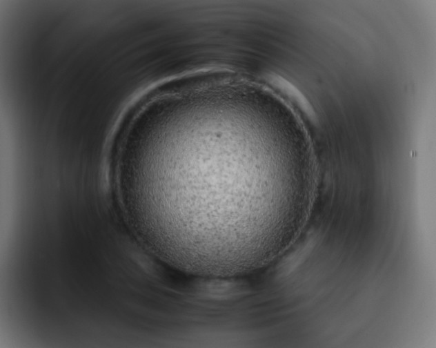 X0000093161027200710031442