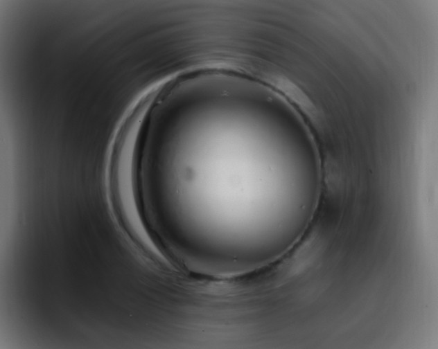X0000093161028200710031442