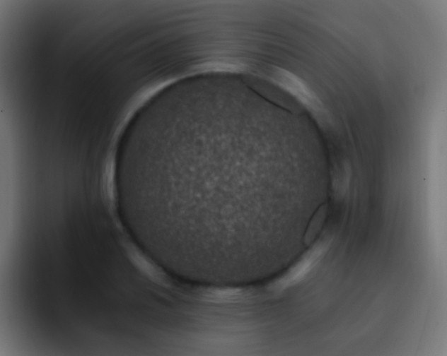 X0000093161030200710031442