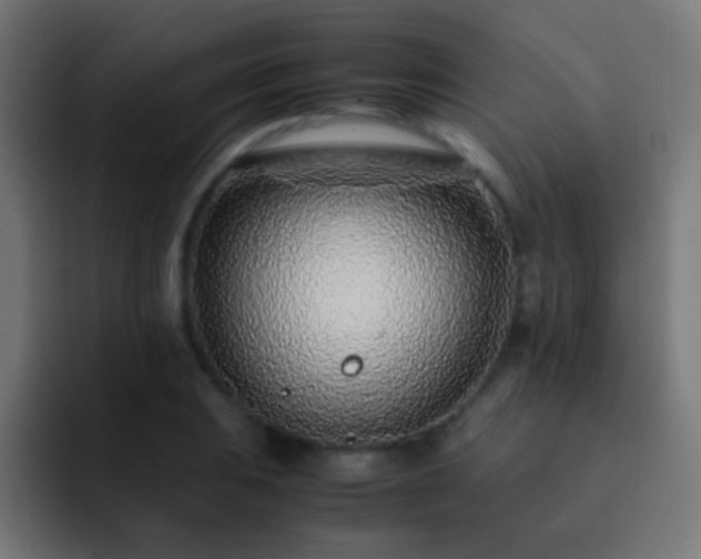 X0000093161031200710031442