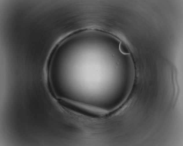 X0000093161032200710031442