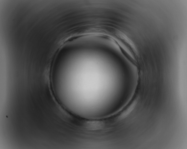 X0000093161033200710031442