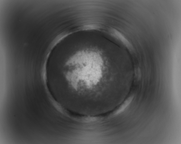 X0000093161034200710031442