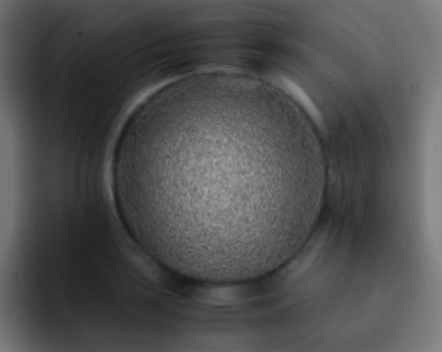 X0000093161035200710031442
