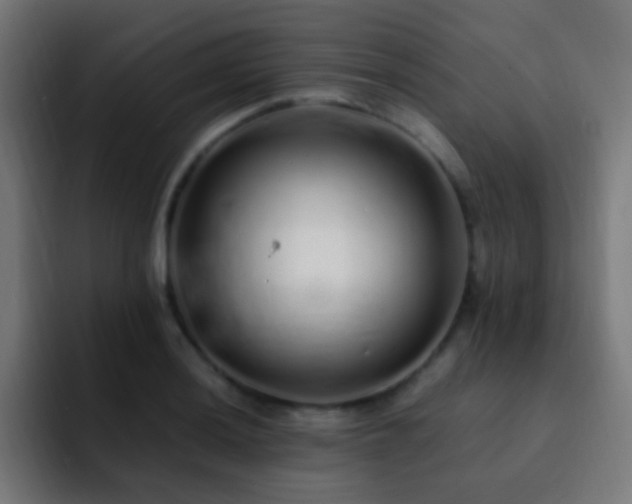 X0000093161036200710031442