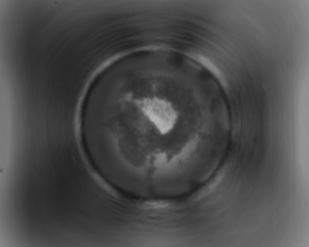 X0000093161037200710031442