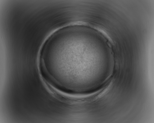 X0000093161038200710031442