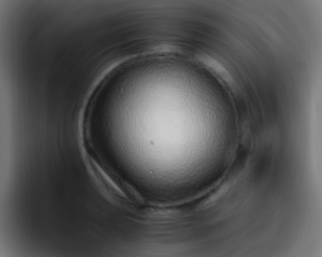 X0000093161039200710031442
