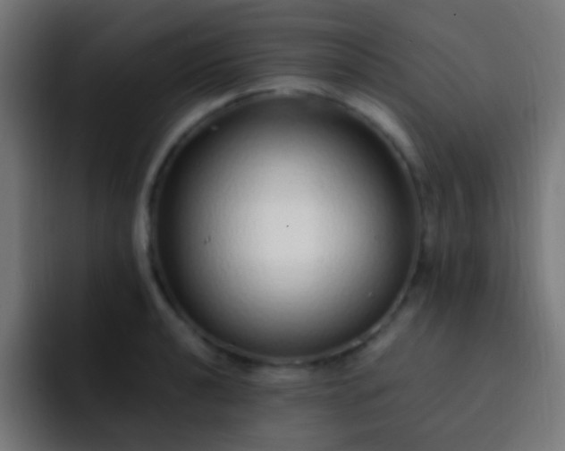 X0000093161040200710031442