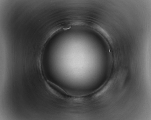 X0000093161041200710031442