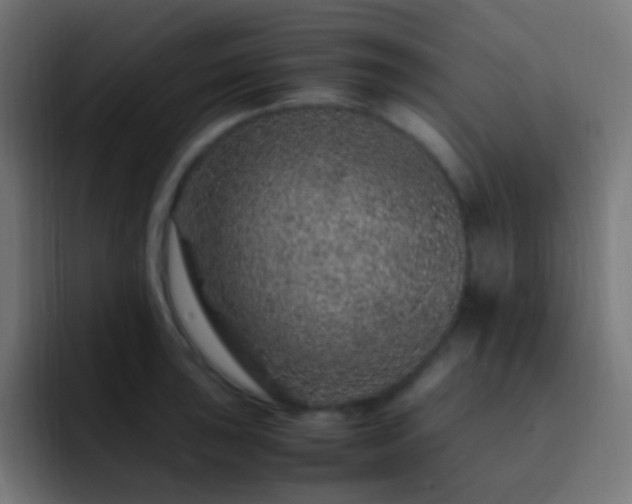 X0000093161043200710031442