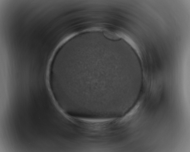 X0000093161045200710031442