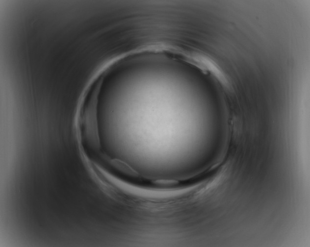 X0000093161046200710031442