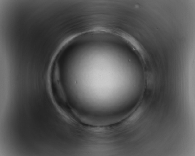 X0000093161048200710031442