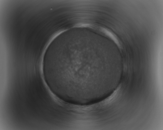 X0000093161050200710031442