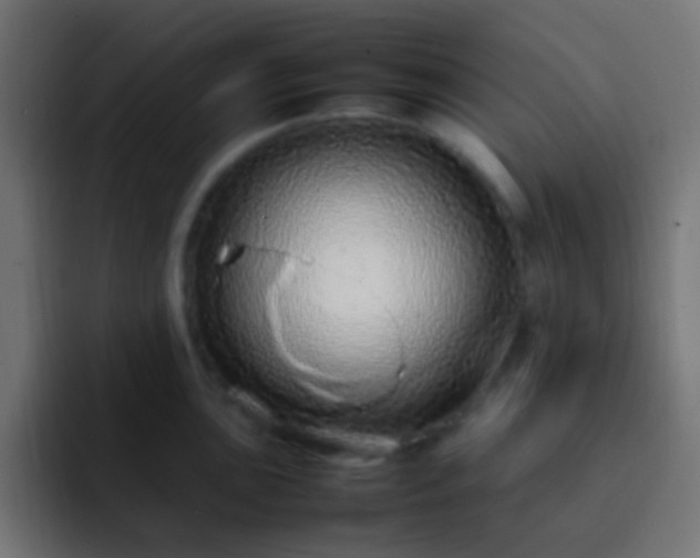 X0000093161051200710031442