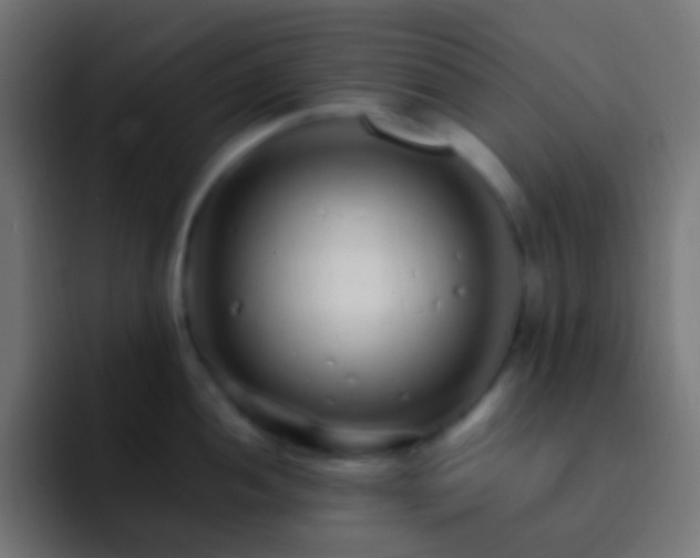 X0000093161052200710031442