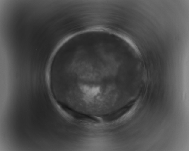 X0000093161054200710031442