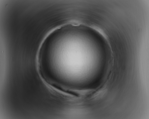X0000093161056200710031442