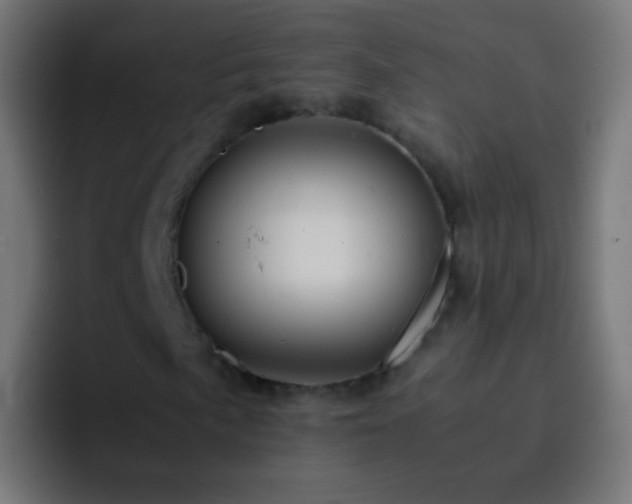 X0000093161057200710031442