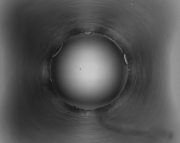 X0000093161058200710031442