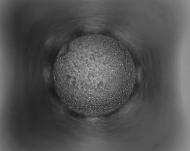 X0000093161059200710031442