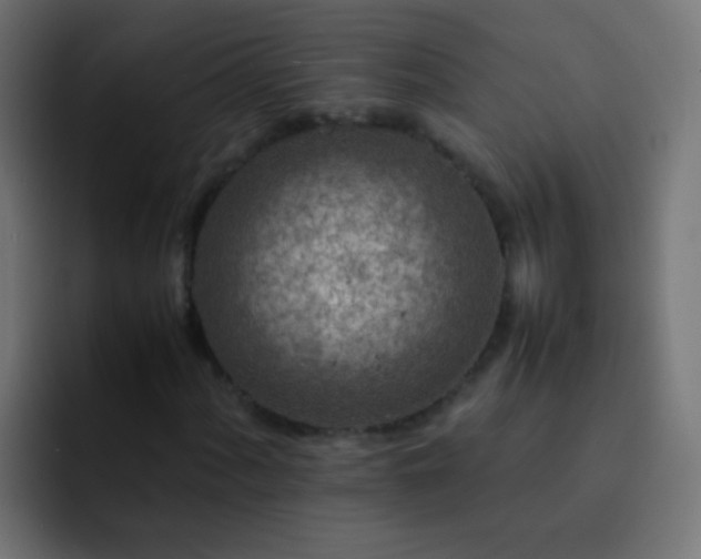X0000093161060200710031442