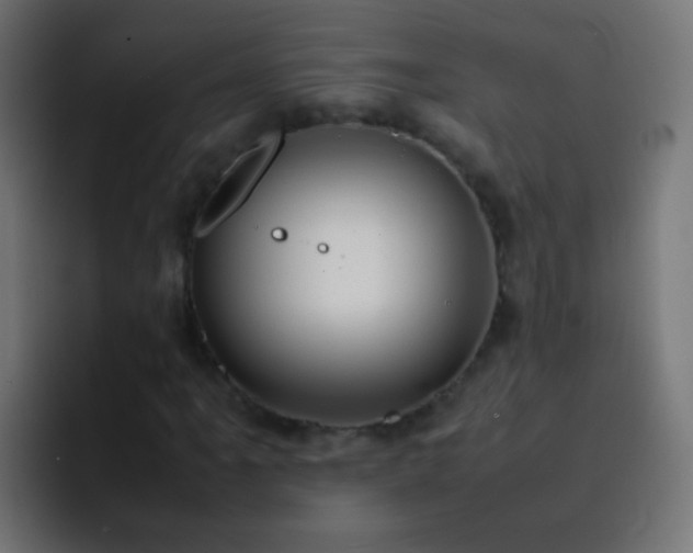 X0000093161061200710031442