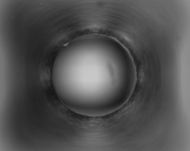 X0000093161062200710031442