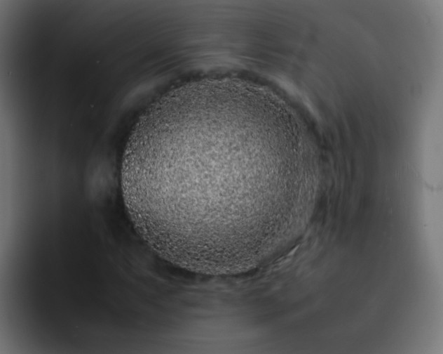 X0000093161063200710031442