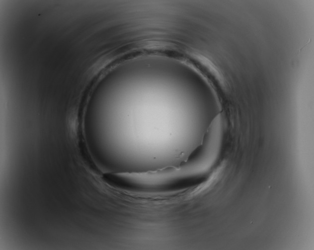 X0000093161065200710031442