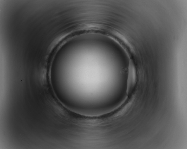 X0000093161066200710031442