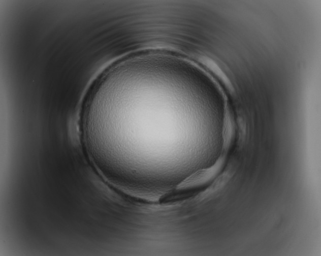 X0000093161068200710031442